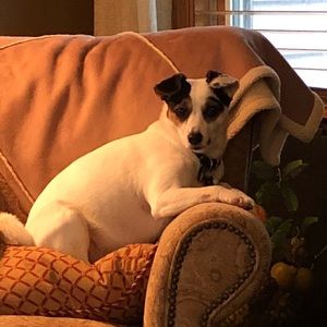 Meet your Posher, Deborah